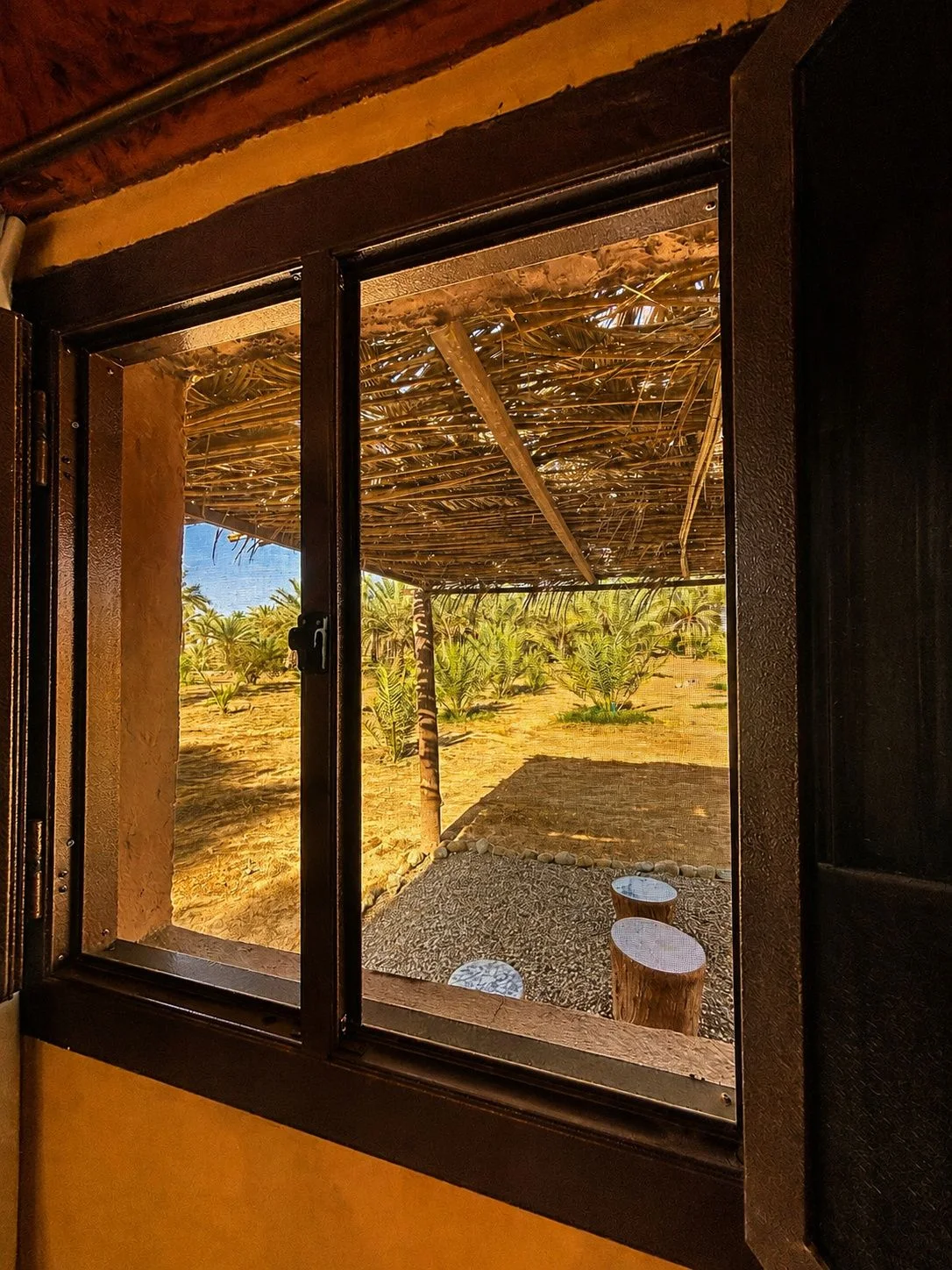 Garden view from a bungalow window